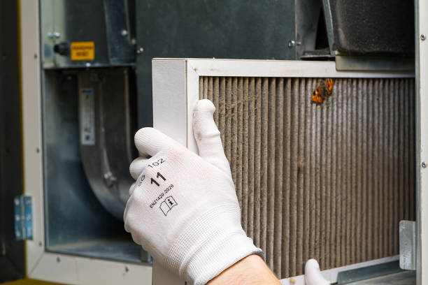 Best Local Air Duct Cleaning Services  in Sumrall, MS
